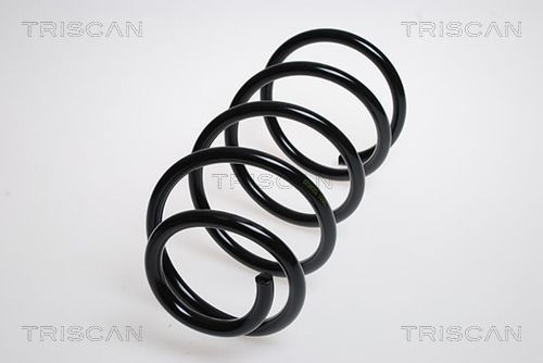 Spyruoklė TRISCAN 8750 5067