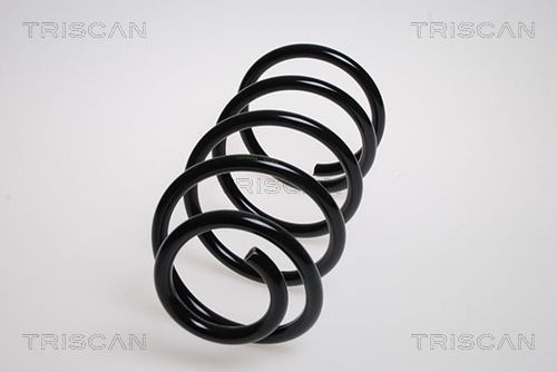 Spyruoklė TRISCAN 8750 5068