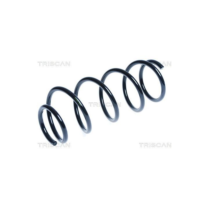 Spyruoklė TRISCAN 8750 5079