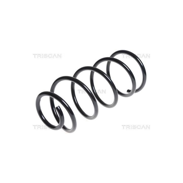 Spyruoklė TRISCAN 8750 5084