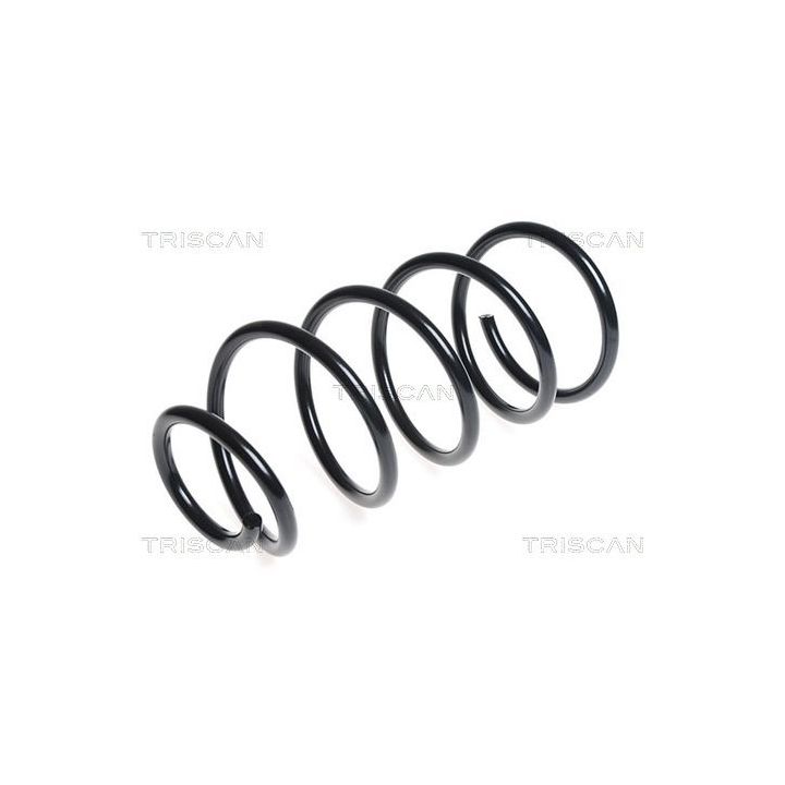 Spyruoklė TRISCAN 8750 5085