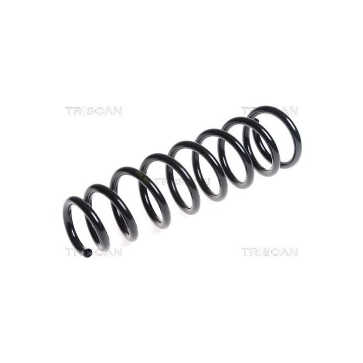 Spyruoklė TRISCAN 8750 5091