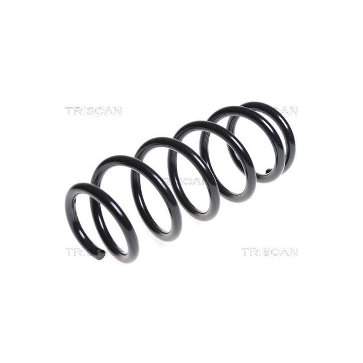 Spyruoklė TRISCAN 8750 5096