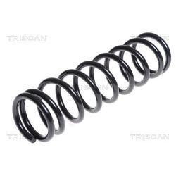 Spyruoklė TRISCAN 8750 5098