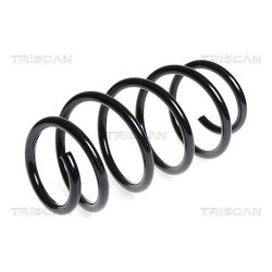 Spyruoklė TRISCAN 8750 6548