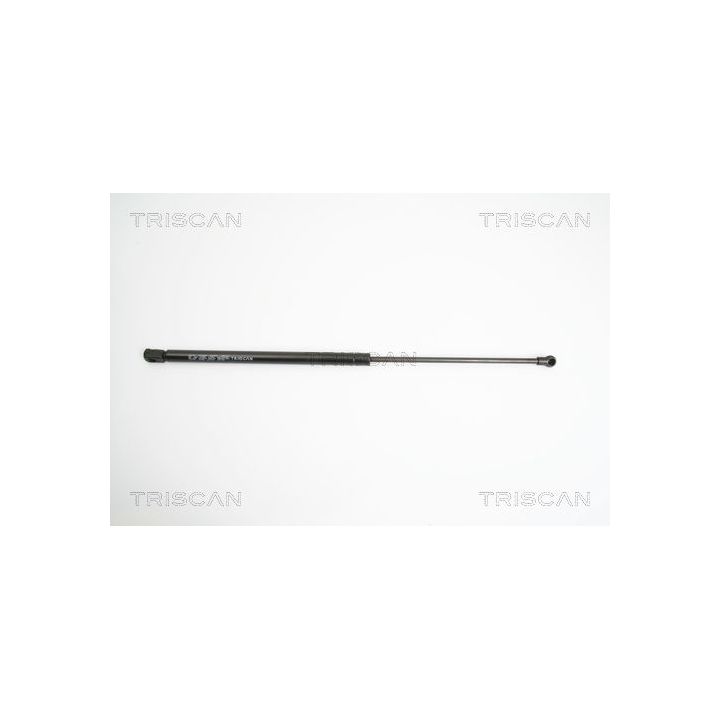 Dujinė spyruoklė, bagažinė TRISCAN 8710 10204