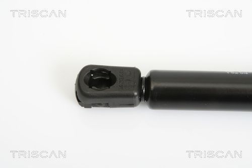 Dujinė spyruoklė, bagažinė TRISCAN 8710 10204