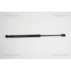 Dujinė spyruoklė, bagažinė TRISCAN 8710 10207