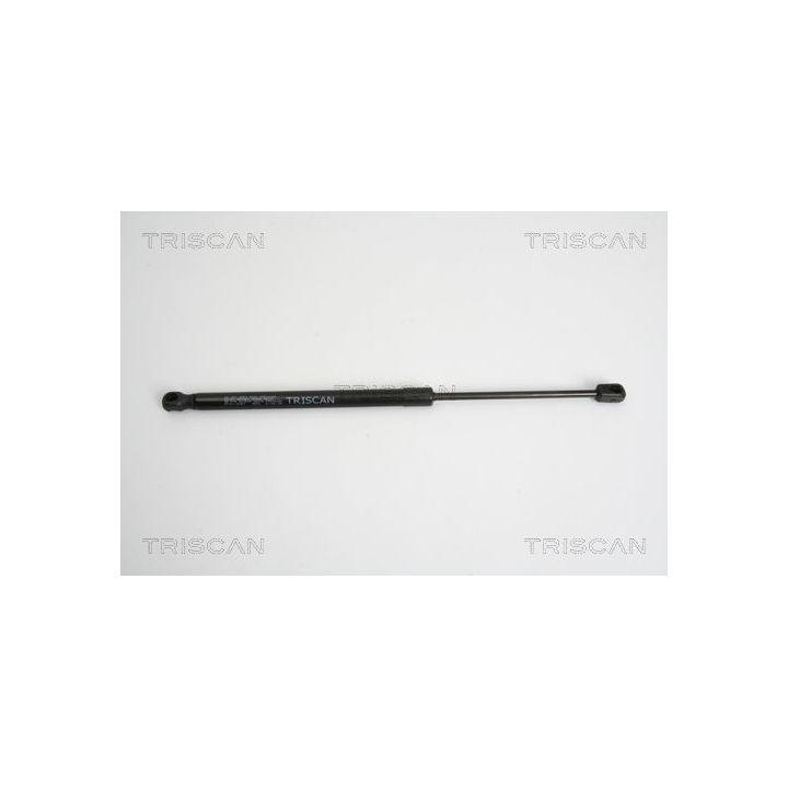 Dujinė spyruoklė, bagažinė TRISCAN 8710 10207