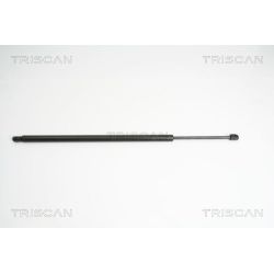 Dujinė spyruoklė, bagažinė TRISCAN 8710 10209