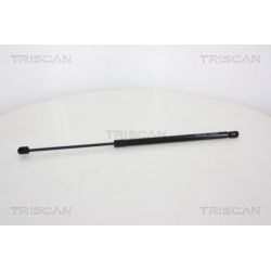 Dujinė spyruoklė, bagažinė TRISCAN 8710 10212