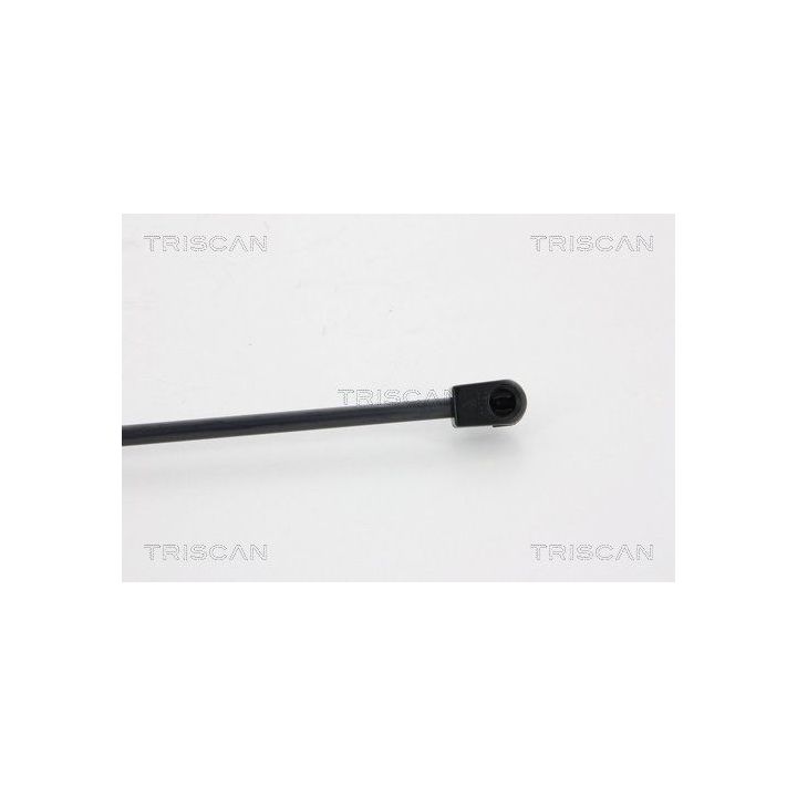 Dujinė spyruoklė, bagažinė TRISCAN 8710 10212