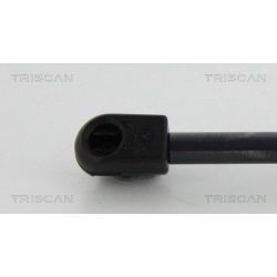 Dujinė spyruoklė, bagažinė TRISCAN 8710 10213