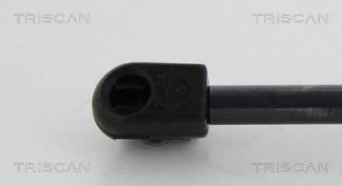 Dujinė spyruoklė, bagažinė TRISCAN 8710 10213