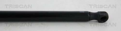 Dujinė spyruoklė, bagažinė TRISCAN 8710 112006