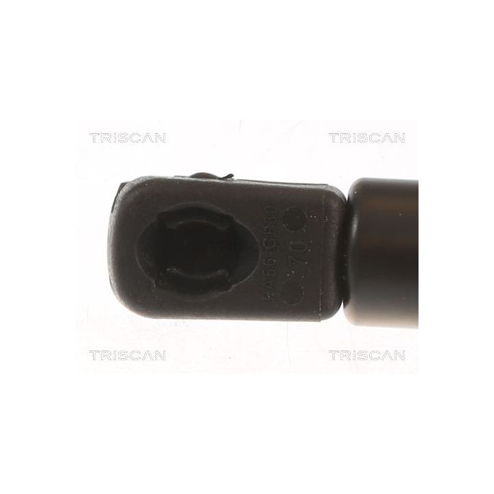 Dujinė spyruoklė, bagažinė TRISCAN 8710 112018