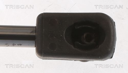 Dujinė spyruoklė, bagažinė TRISCAN 8710 112018