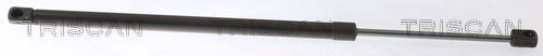 Dujinė spyruoklė, bagažinė TRISCAN 8710 112019