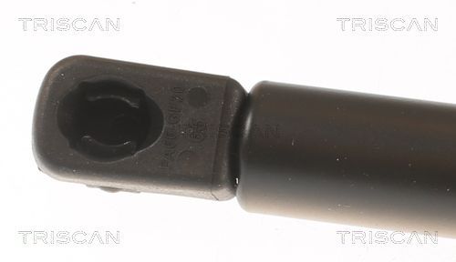 Dujinė spyruoklė, bagažinė TRISCAN 8710 112019