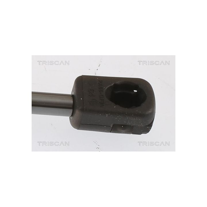 Dujinė spyruoklė, bagažinė TRISCAN 8710 112019