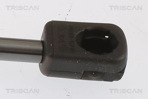 Dujinė spyruoklė, bagažinė TRISCAN 8710 112019