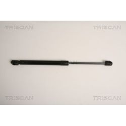 Dujinė spyruoklė, bagažinė TRISCAN 8710 11234