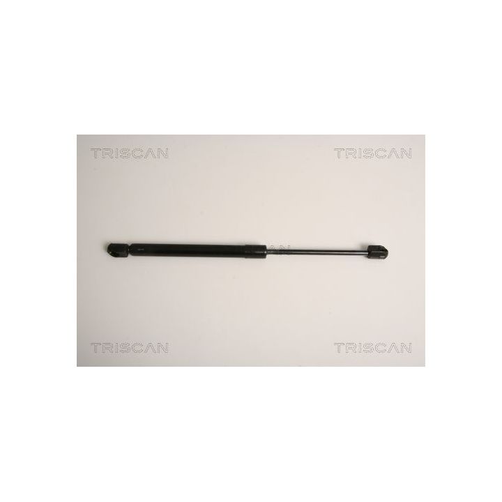 Dujinė spyruoklė, bagažinė TRISCAN 8710 11234