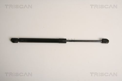 Dujinė spyruoklė, bagažinė TRISCAN 8710 11234