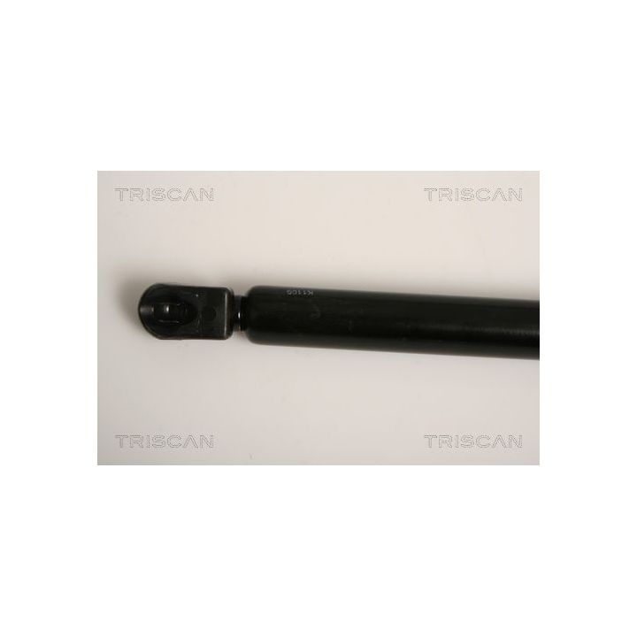 Dujinė spyruoklė, bagažinė TRISCAN 8710 11234