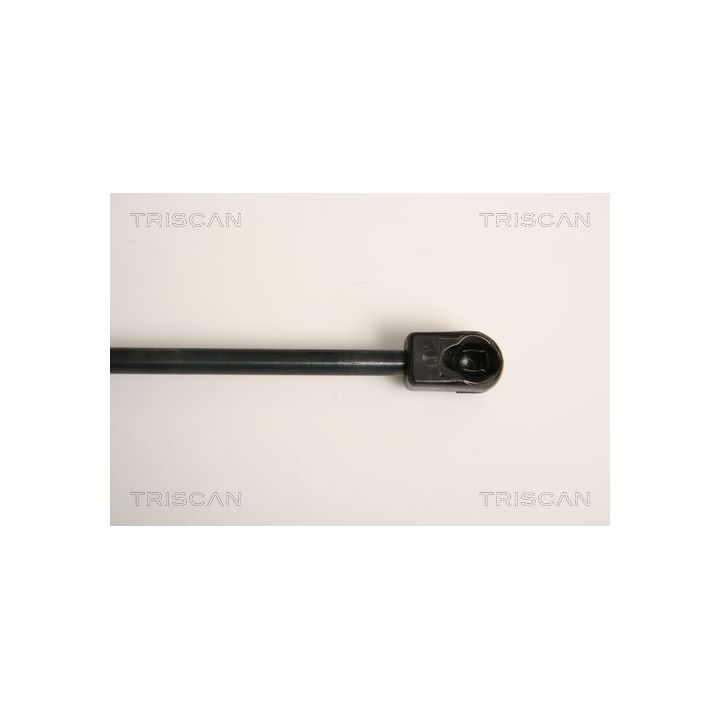 Dujinė spyruoklė, bagažinė TRISCAN 8710 11234