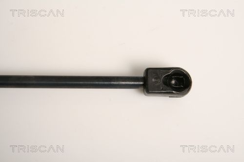 Dujinė spyruoklė, bagažinė TRISCAN 8710 11234