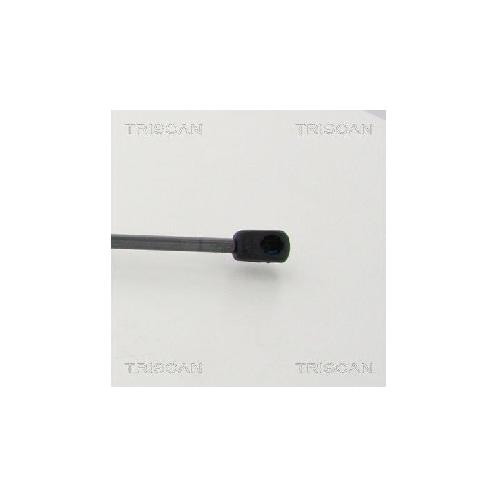 Dujinė spyruoklė, bagažinė TRISCAN 8710 11246