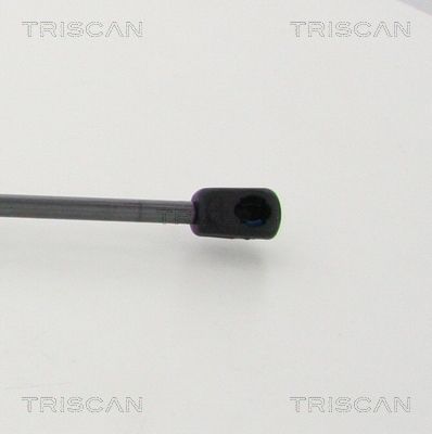 Dujinė spyruoklė, bagažinė TRISCAN 8710 11246