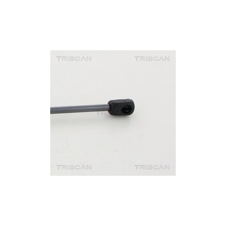 Dujinė spyruoklė, bagažinė TRISCAN 8710 11247