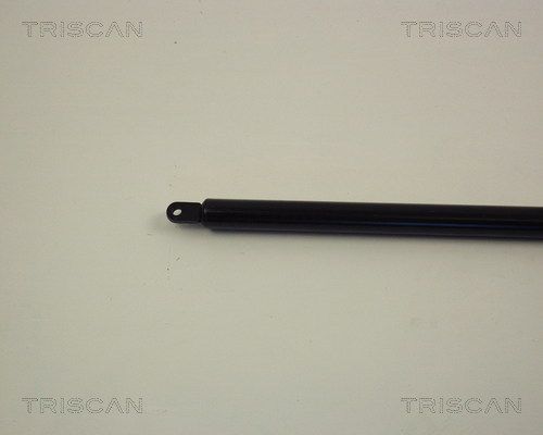 Dujinė spyruoklė, bagažinė TRISCAN 8710 1201