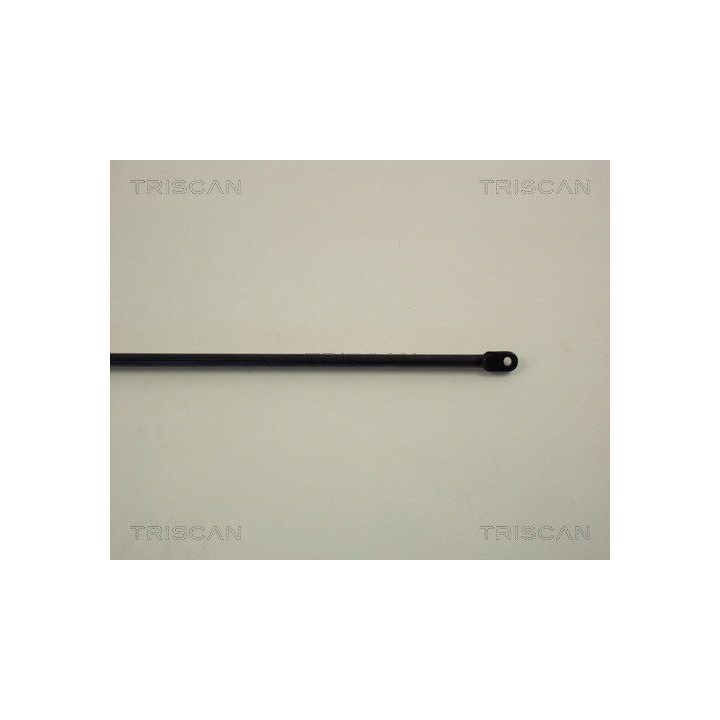 Dujinė spyruoklė, bagažinė TRISCAN 8710 1201