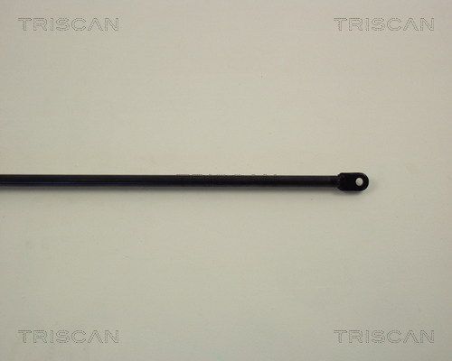 Dujinė spyruoklė, bagažinė TRISCAN 8710 1201