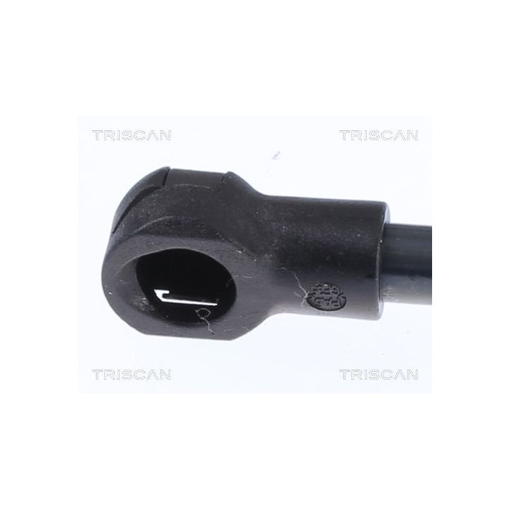 Dujinė spyruoklė, bagažinė TRISCAN 8710 12207