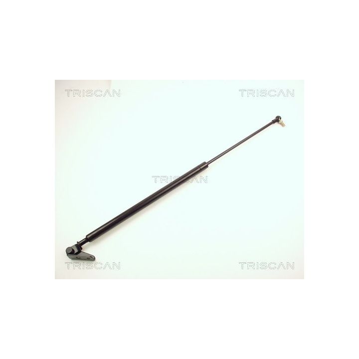 Dujinė spyruoklė, bagažinė TRISCAN 8710 13203