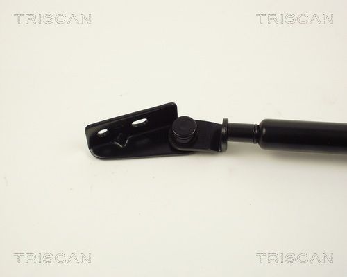 Dujinė spyruoklė, bagažinė TRISCAN 8710 13203