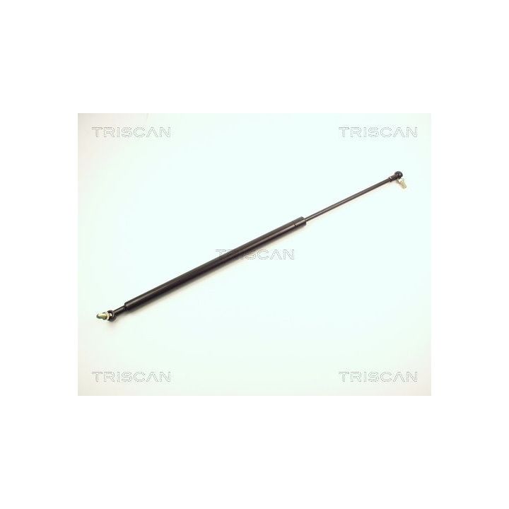 Dujinė spyruoklė, bagažinė TRISCAN 8710 13206