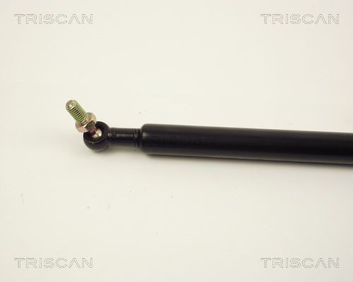 Dujinė spyruoklė, bagažinė TRISCAN 8710 13206