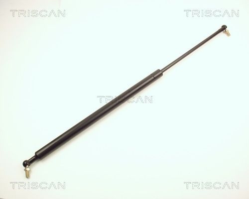 Dujinė spyruoklė, bagažinė TRISCAN 8710 13207