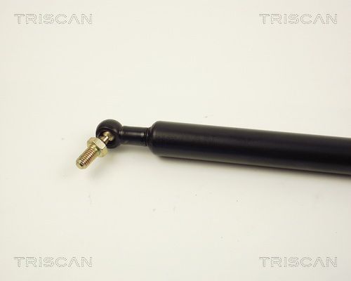 Dujinė spyruoklė, bagažinė TRISCAN 8710 13207
