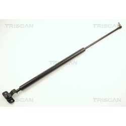 Dujinė spyruoklė, bagažinė TRISCAN 8710 13211