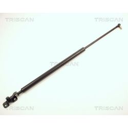 Dujinė spyruoklė, bagažinė TRISCAN 8710 13212