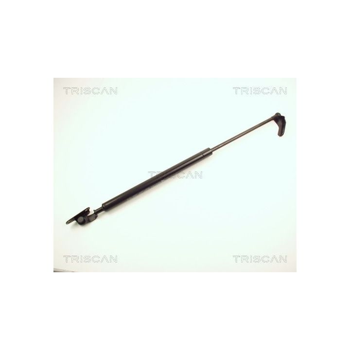 Dujinė spyruoklė, bagažinė TRISCAN 8710 13221