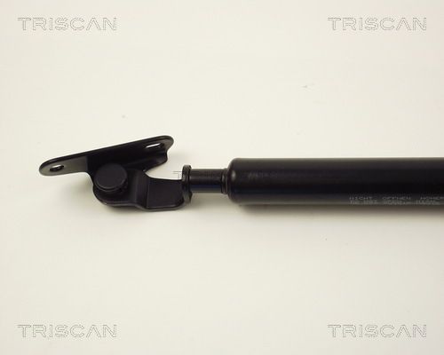 Dujinė spyruoklė, bagažinė TRISCAN 8710 13221