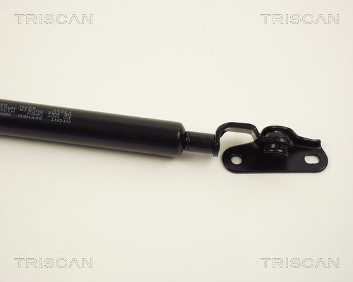 Dujinė spyruoklė, bagažinė TRISCAN 8710 13222