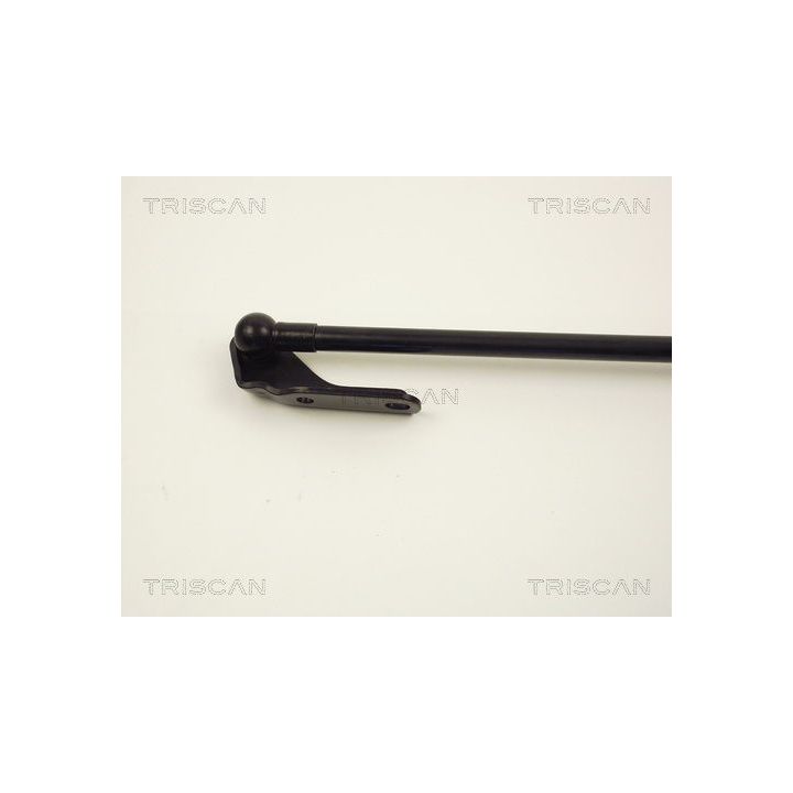 Dujinė spyruoklė, bagažinė TRISCAN 8710 13222